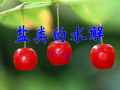 人教版化学选修四盐类的水解教学课件