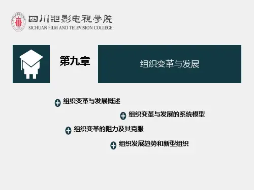 9  第九章 组织变革与发展