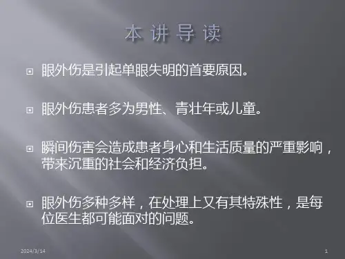 眼外伤的诊断和治疗原则PPT课件