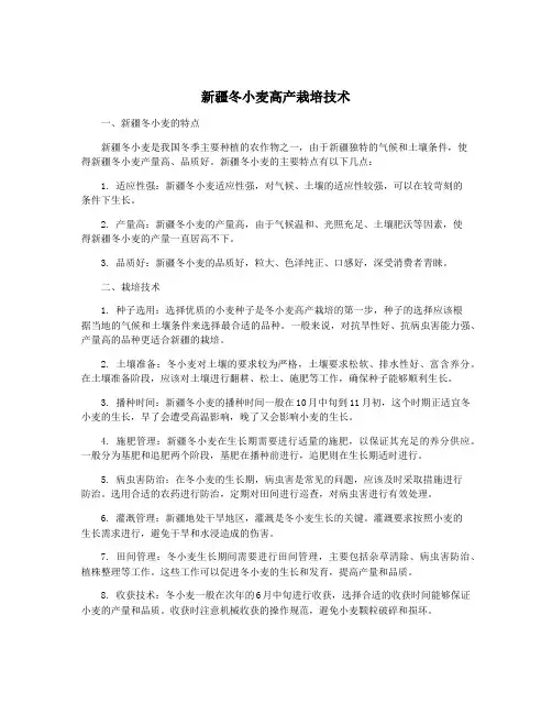 新疆冬小麦高产栽培技术