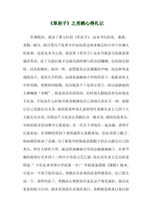 《草房子》之秃鹤心得札记