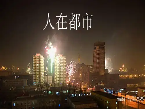 《子夜》ppt课件