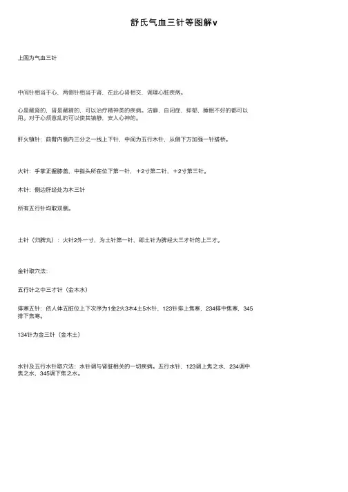 舒氏气血三针等图解v