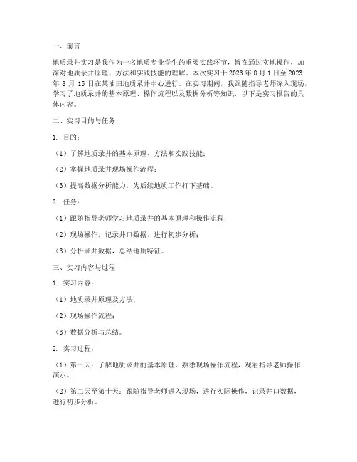 地质录井实习报告