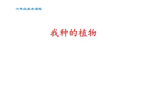 1我种的植物(课件)美术六年级上册   苏少版