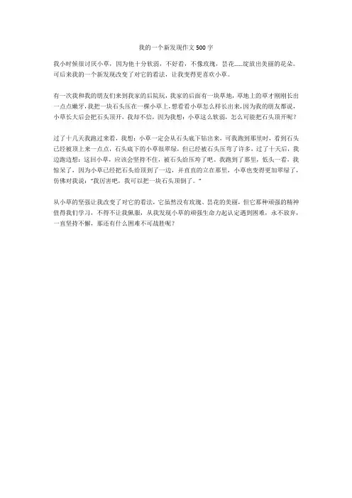 我的一个新发现作文500字(优秀作文)