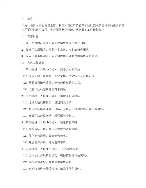 新入职的销售主管工作计划
