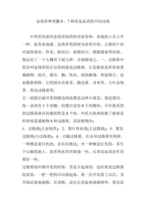 金钱草种类繁多,7种常见品类的不同功效