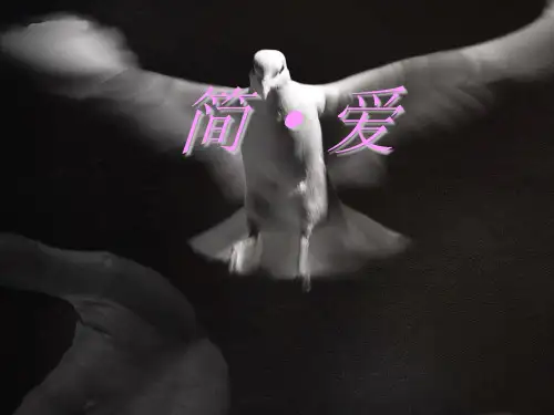 人教部编版九下语文第六单元名著导读简爱