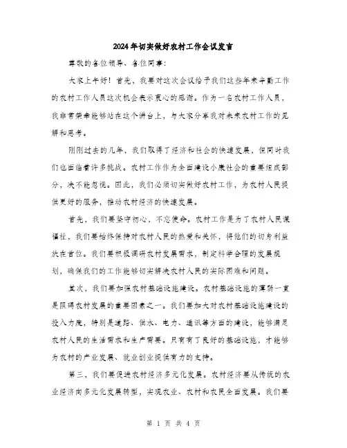 2024年切实做好农村工作会议发言(2篇)