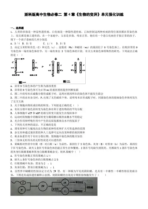 高中生物浙科版遗传与进化第四章生物的变异单元测试