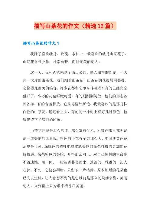 描写山茶花的作文(精选12篇)