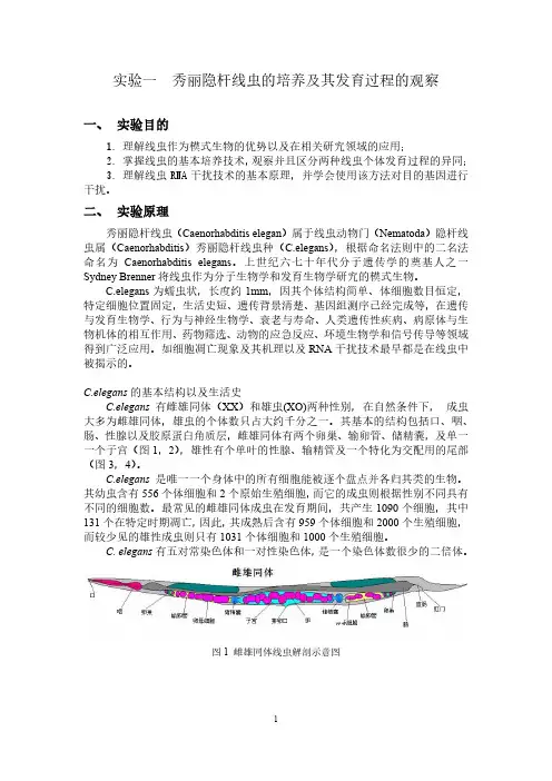 发育生物学教案-2015年