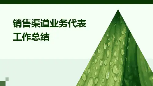 销售渠道业务代表工作总结PPT