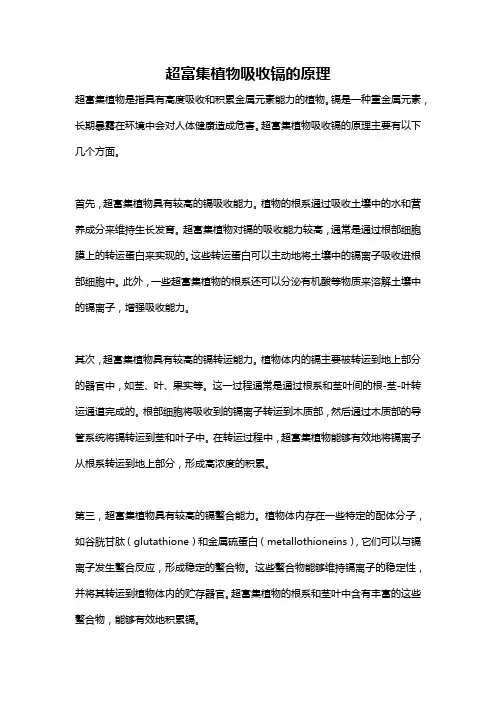 超富集植物吸收镉的原理