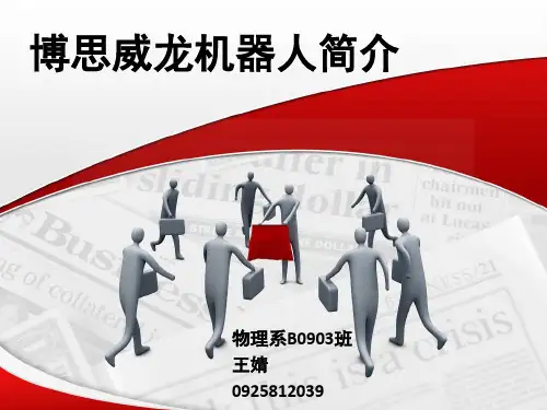 博思威龙机器人