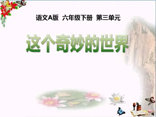 《这个奇妙的世界》PPT课件