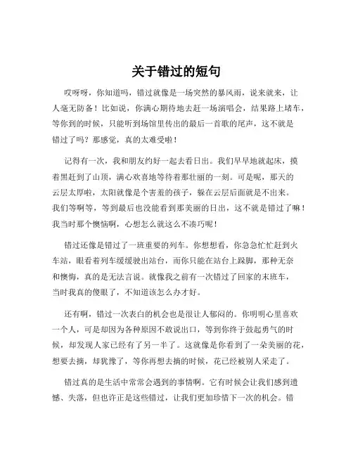 关于错过的短句