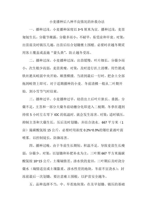 小麦播种后八种不良情况的补救办法