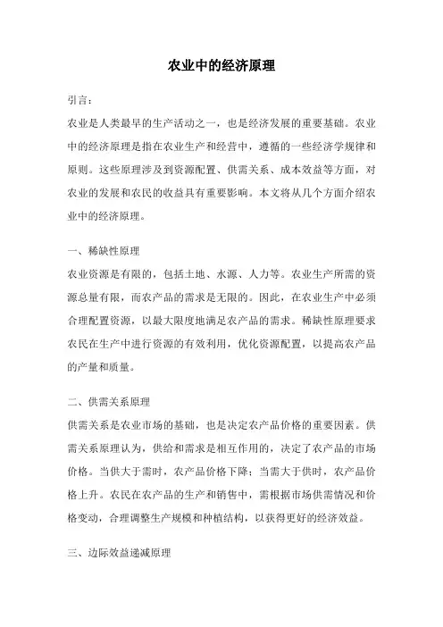 农业中的经济原理