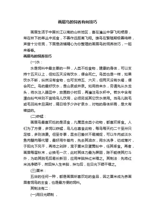 画眉鸟的饲养有何技巧