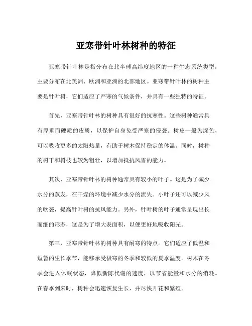 亚寒带针叶林树种的特征