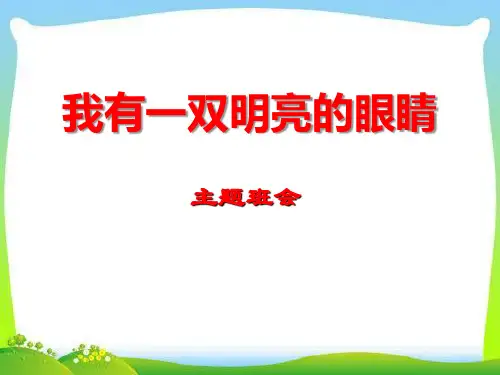 人教版《我有一双明亮的眼睛》PPT演示课件