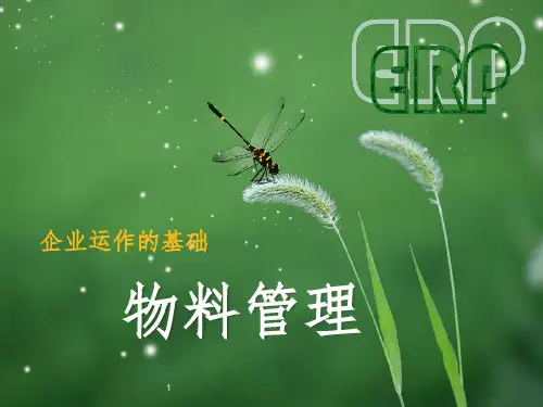 物料管理PPT