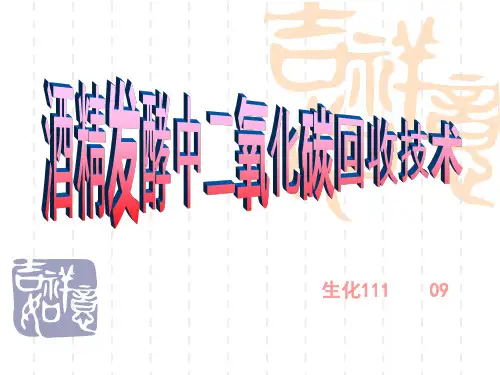 二氧化碳回收技术