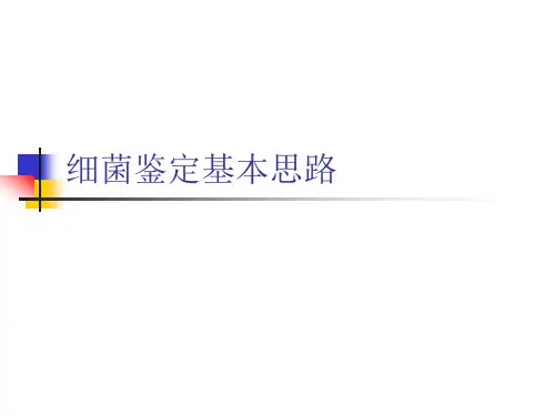 1-常见细菌分类
