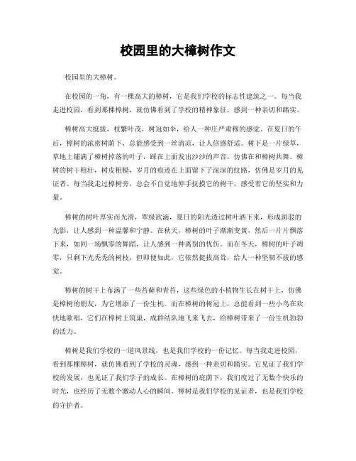 校园里的大樟树作文