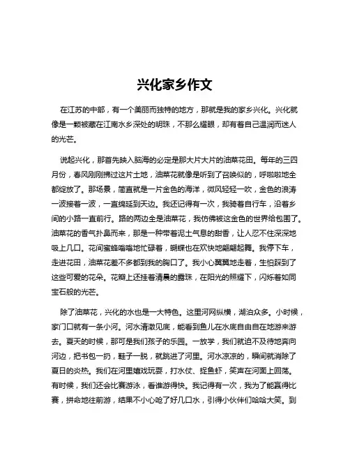 兴化家乡作文