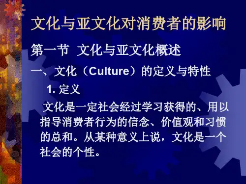 文化与亚文化对消费者的影响 PPT课件