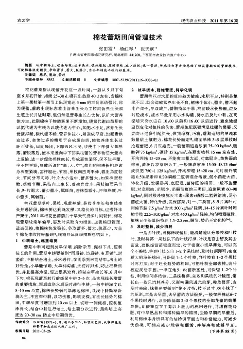 棉花蕾期田间管理技术