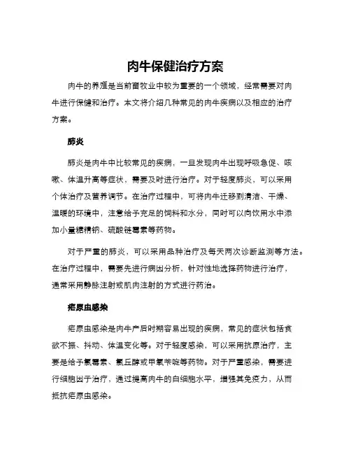 肉牛保健治疗方案