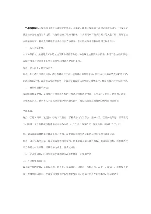 几种常见生态护坡优缺点的对比