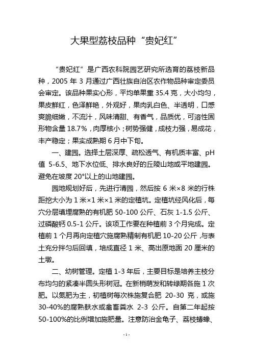 大果型荔枝品种“贵妃红”
