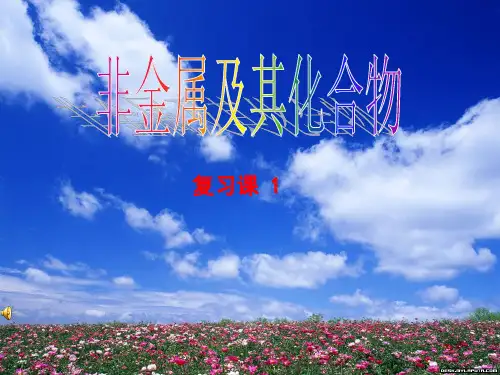 《非金属及化合物单元复习》ppt课件 人教课标版