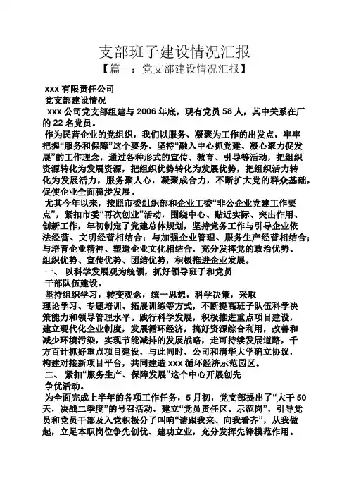 支部班子建设情况汇报