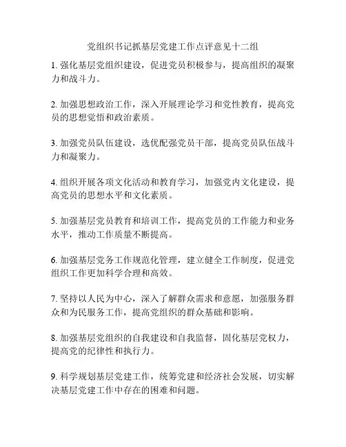 党组织书记抓基层党建工作点评意见十二组