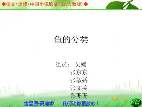 菜市场常见鱼的分类
