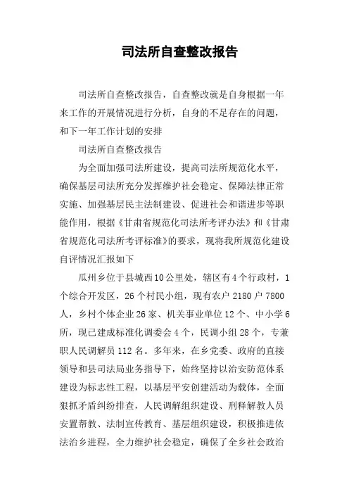 司法所自查整改报告