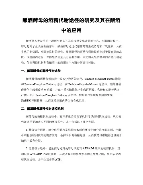 酿酒酵母的酒精代谢途径的研究及其在酿酒中的应用