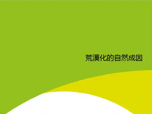 荒漠化的自然成因PPT(完整版)