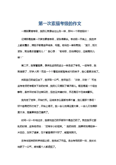 第一次素描考级的作文