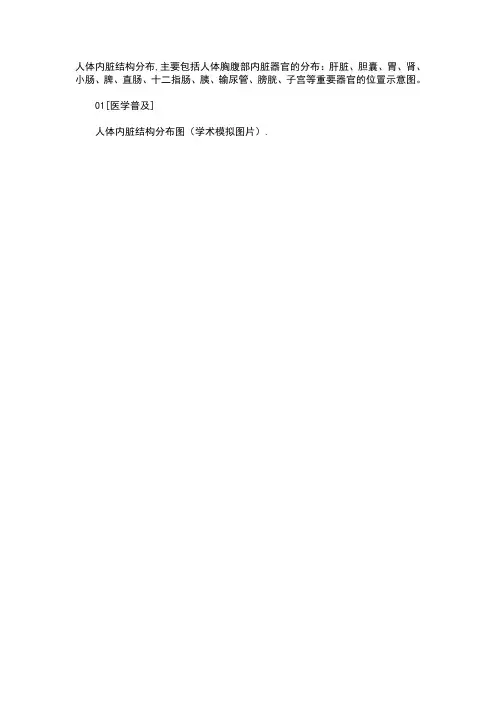 最全人体内脏结构图(医学图谱)