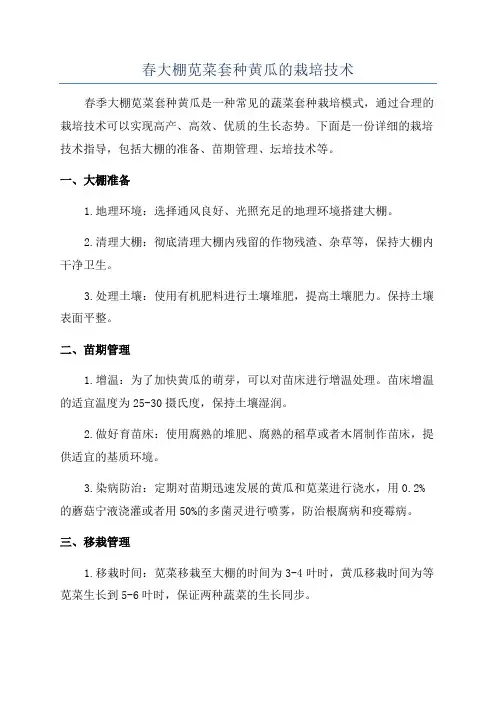 春大棚苋菜套种黄瓜的栽培技术