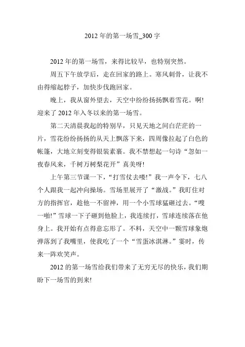 2012年的第一场雪_300字