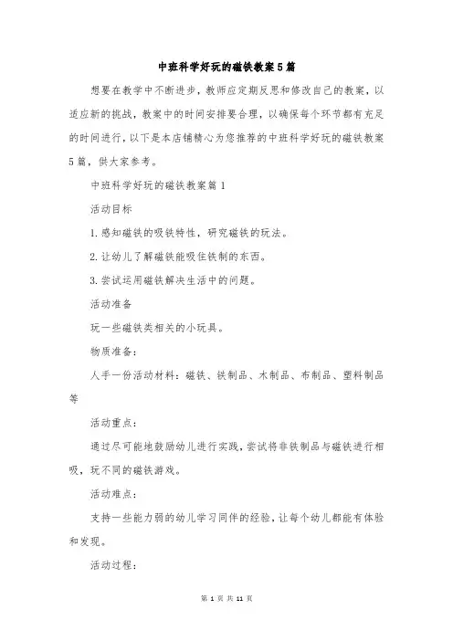 中班科学好玩的磁铁教案5篇