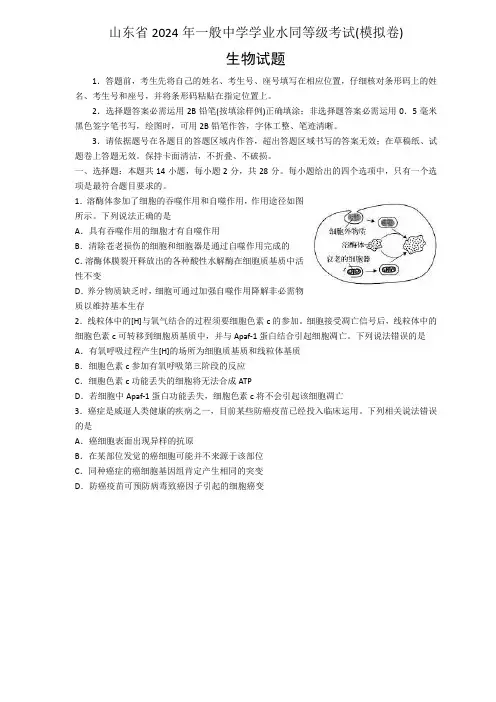 2024山东省新高考统一考试生物模拟卷
